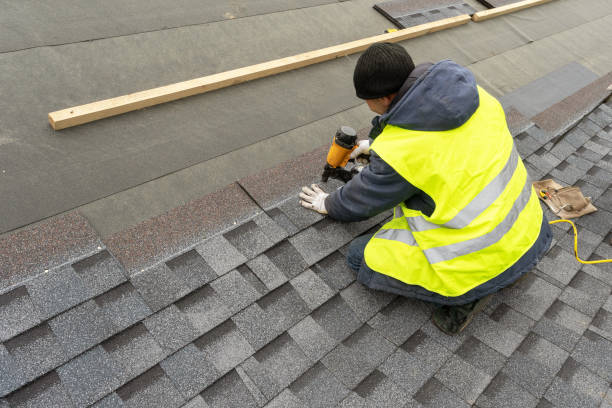 Best Roof Gutter Cleaning  in Folkston, GA