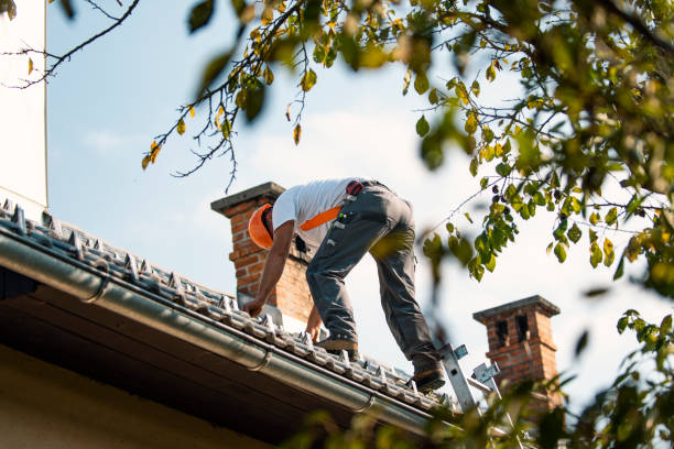 Roof Gutter Cleaning in Folkston, GA