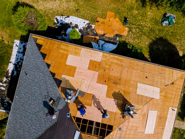 Best Roof Maintenance Services  in Folkston, GA