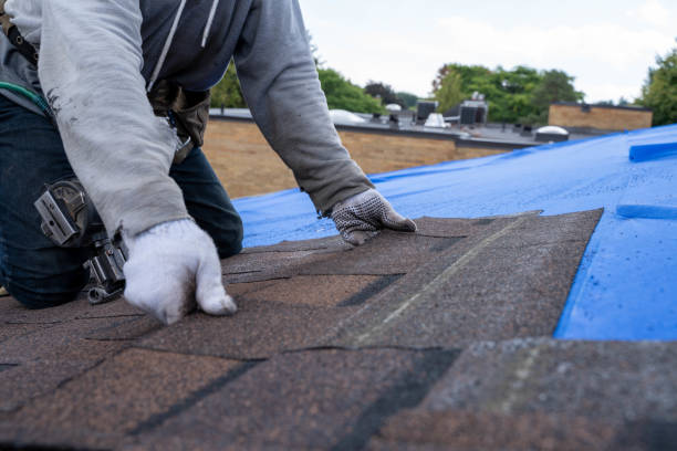 Best Roofing Contractor Near Me  in Folkston, GA